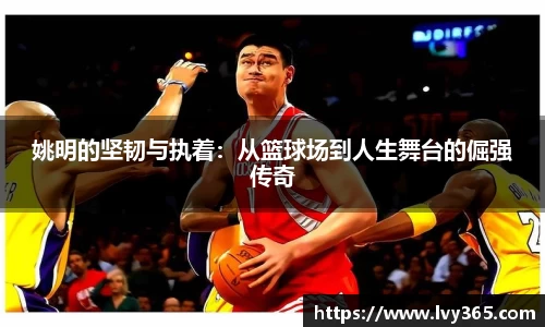 天博官网