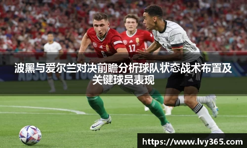 波黑与爱尔兰对决前瞻分析球队状态战术布置及关键球员表现